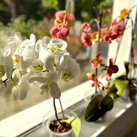 Affittacamere Perla Di Mare