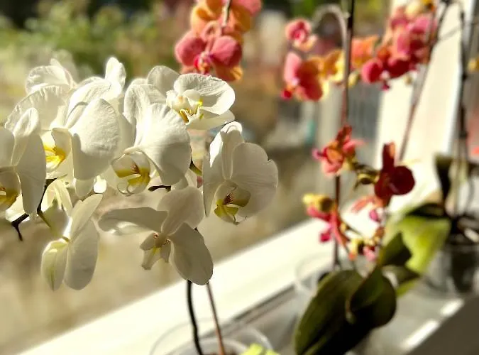 Gæstehus Perla Di Mare